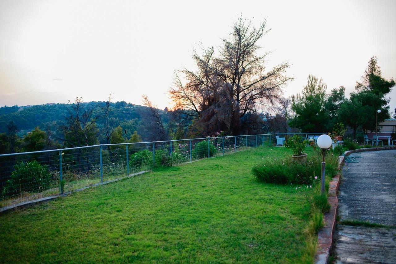 Διαμέρισμα Panorama *